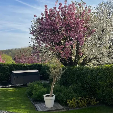 Gp - F1 Francorchamps - 2 Trooz